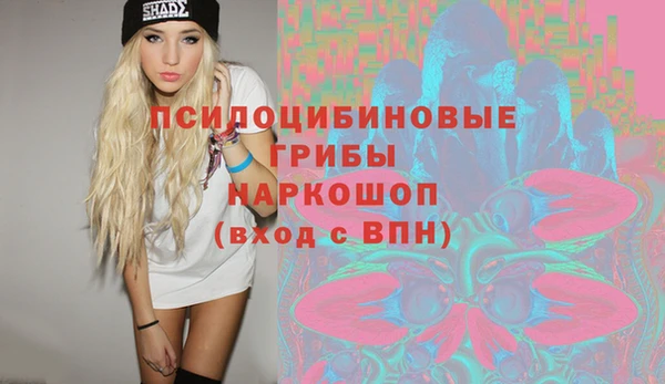 стафф Пересвет
