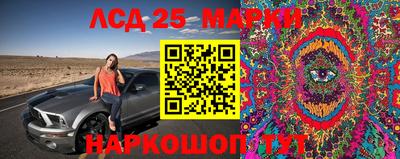 индика Мариинск