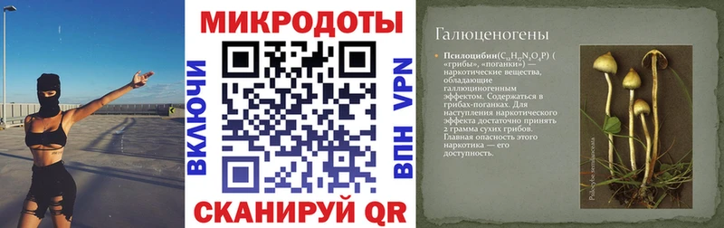 Псилоцибиновые грибы GOLDEN TEACHER  omg ONION  Алатырь 