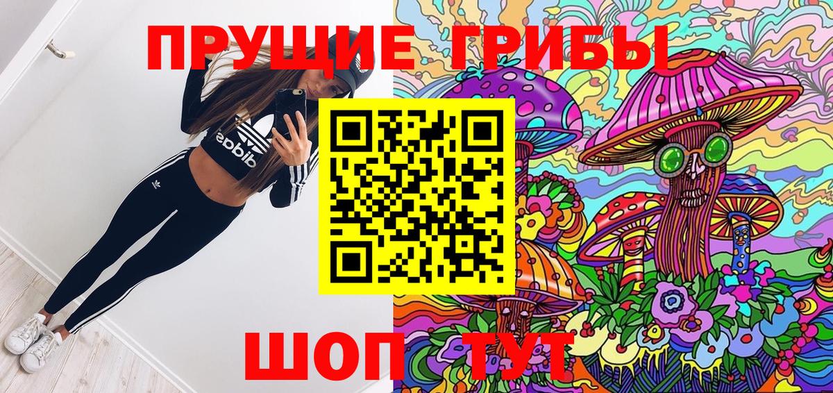хочу наркоту  Алатырь  Псилоцибиновые грибы прущие грибы 