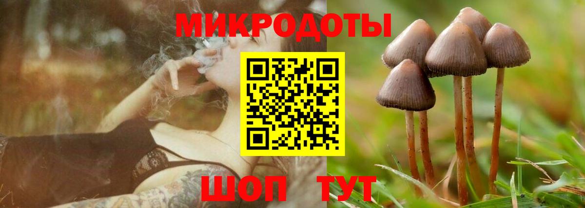 где найти   Галлюциногенные грибы мухоморы  Вход с VPN  Алатырь 