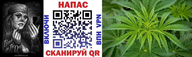МАРИХУАНА конопля  Алатырь 