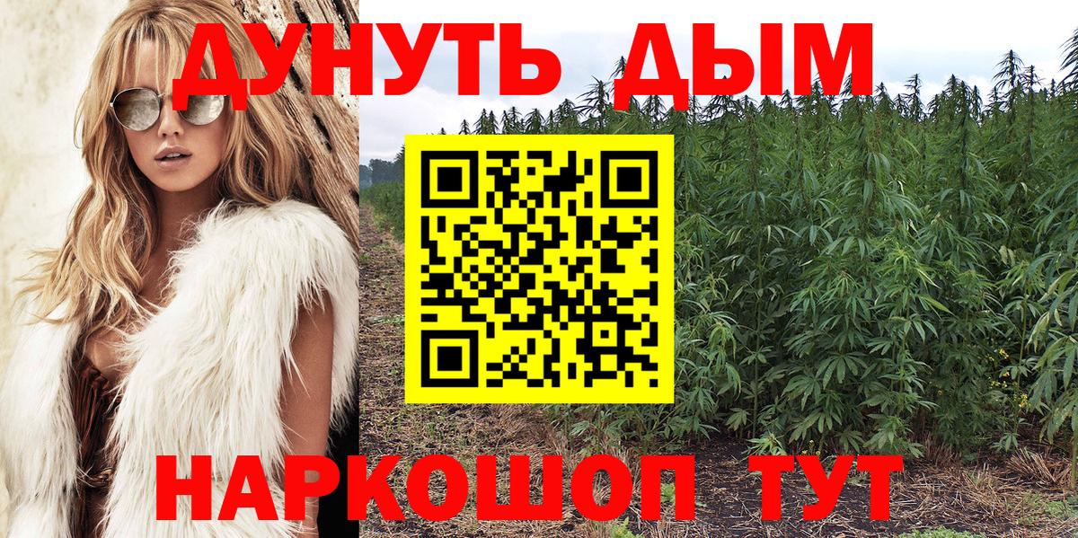 Конопля тримм  Марихуана Bruce Banner  Алатырь  Вход с VPN 